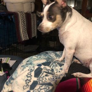 Meet your Posher, Dee